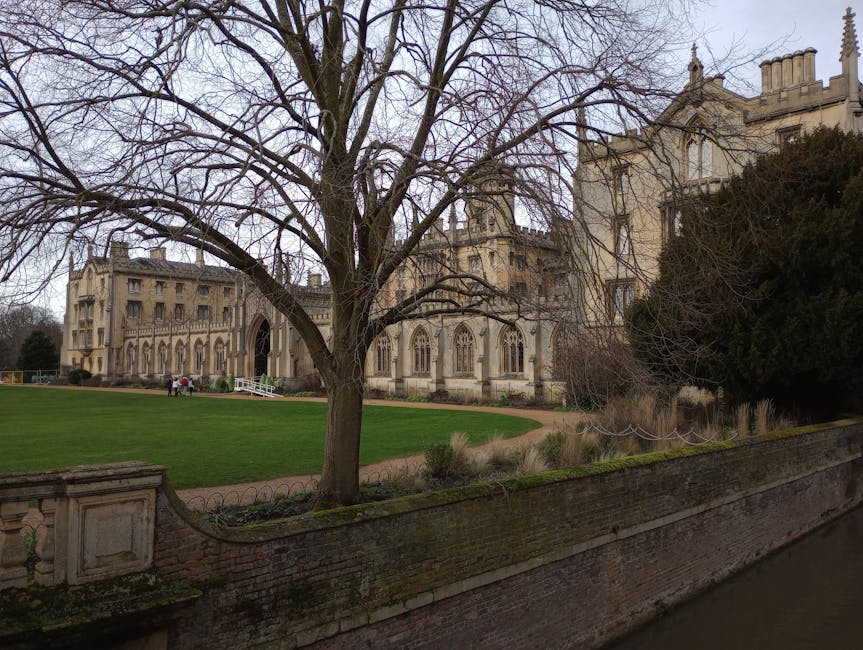 A large green tractor with an orange trailer attached is parked on a city street, surrounded by cars and buildings with mixed architectural styles. The tractor is positioned near the curb in an urban area, possibly involved in a home relocation or moving process. In the background, there are brick and painted façades of shops and residences, including a sports bar called Sloppy's and a salon named Tierney Salons. Nearby, a traffic light is visible on the corner, and a green waste bin is placed by the sidewalk. Bright daylight illuminates the scene, with the tractor seemingly preparing for furniture transport or loading activities related to house removals, reflecting typical moving logistics handled by services like Removal Company Merton.